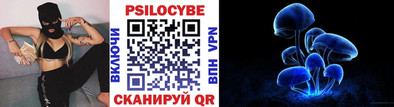 Псилоцибиновые грибы Psilocybe Лосино-Петровский