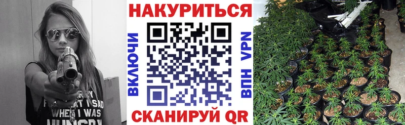дарнет шоп  Лосино-Петровский  Каннабис марихуана 